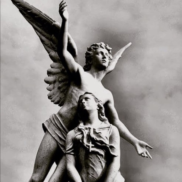 🐕🐻Help Rescue Animals🐬🐖🐑 #STOPAnimalCruelty💔 - Picture 11 of 16